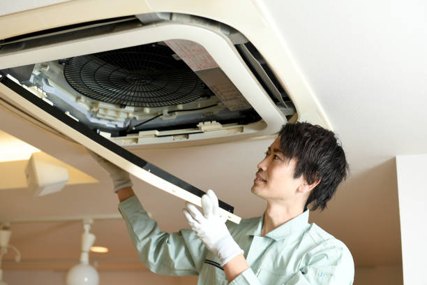 Best Affordable Duct Cleaning Services  in Ecorse, MI